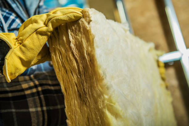 Best Specialized Insulation Services in Oxnard, CA